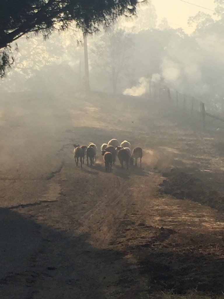 Chimney Fire approaching Monterey Co, threatens Hearst Castle